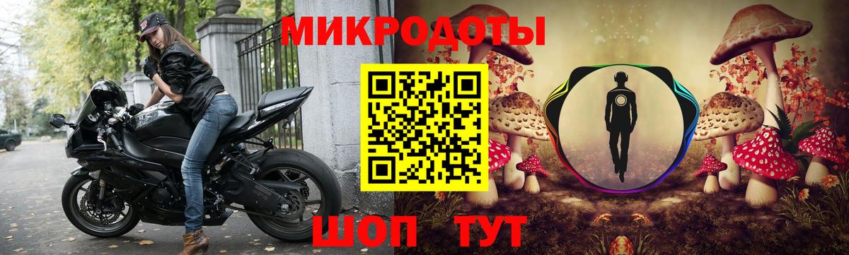 Галлюциногенные грибы Psilocybine cubensis Будённовск