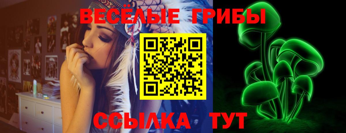 Псилоцибиновые грибы Psilocybine cubensis Будённовск