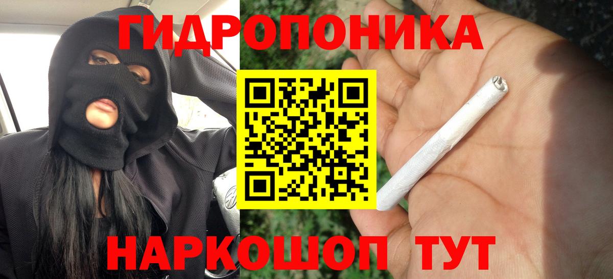 Шишки марихуана планчик Будённовск